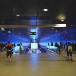 Netzwerk Freies Musiktheater