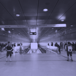 Netzwerk Freies Musiktheater